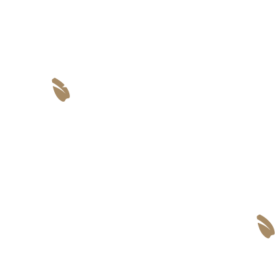프랜킷 입점 브랜드사